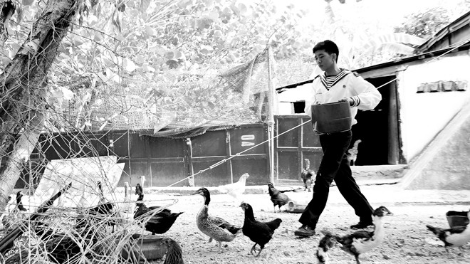 Những vườn rau xanh, đàn gà đàn vịt tạo nên khung cảnh gần gũi của làng quê nơi đất liền (Trong ảnh, chiến sỹ Nguyễn Tấn Đạt, SN 1995 ở đảo Nam Yết chăm sóc đàn gia cầm của đội). Ảnh: Xuân Tùng