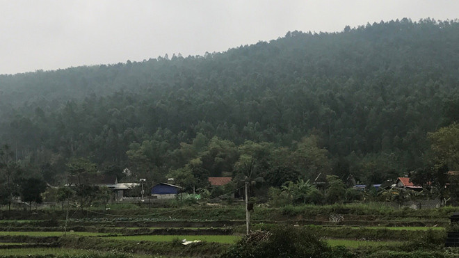 Rừng phòng hộ núi Ngang có bị xoá sổ bởi nghĩa trang?