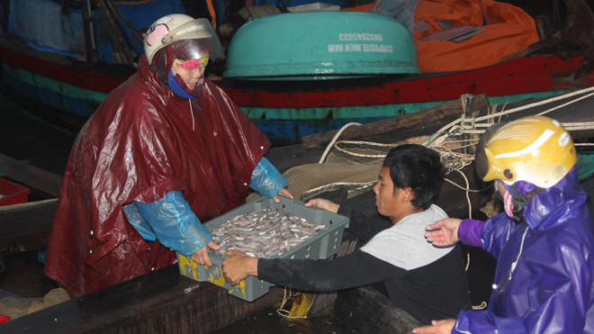 Người dân vùng biển Hà Tĩnh đang dần ổn định lại cuộc sống, họ mong muốn xử lý nghiêm minh những cán bộ liên quan đến vụ Formosa