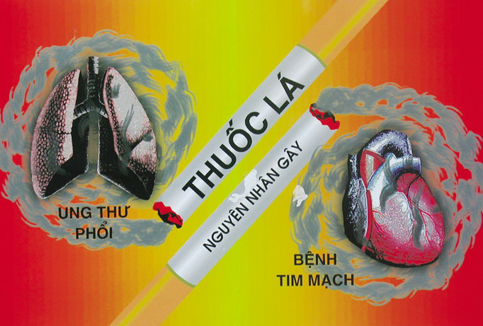 Thuốc lá là nguyên nhân gây nên bệnh tim mạch và ung thư phổi.