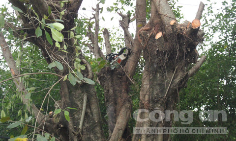 Hiện trường vụ tai nạn