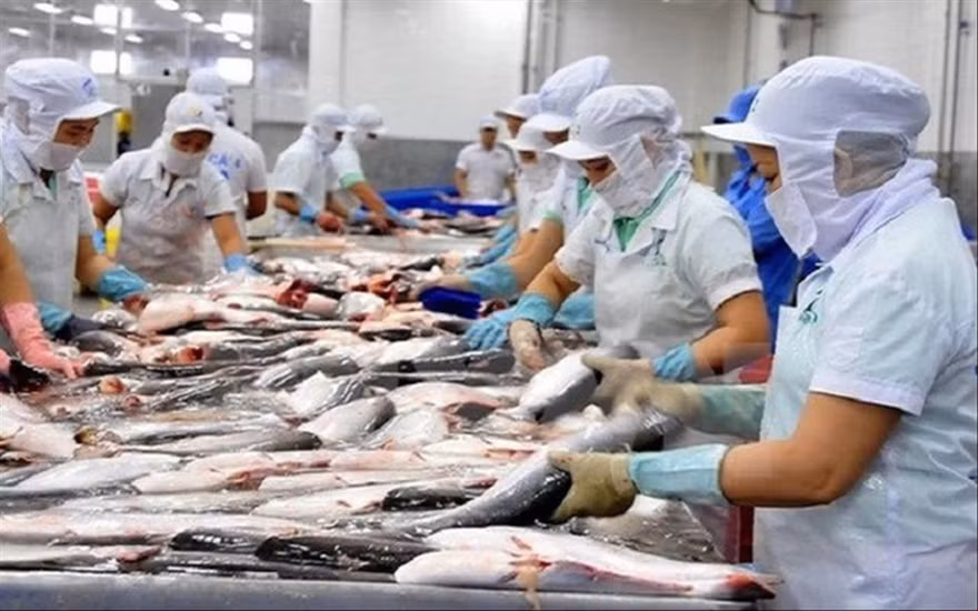 Các DN, nhà sản xuất Việt Nam cần phải thay đổi để có thể giữ vững thị phần xuất khẩu ở thị trường Trung Quốc