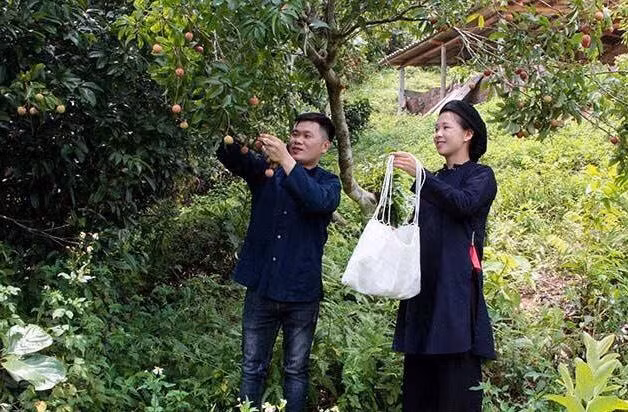 Trang phục truyền thống luôn gắn với sinh hoạt, lao động của người Sán Chỉ. Ảnh: T. Linh