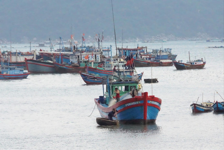 Việc vừa khai thác, vừa bảo tồn nguồn lợi thủy sản là việc hết sức cấp thiết