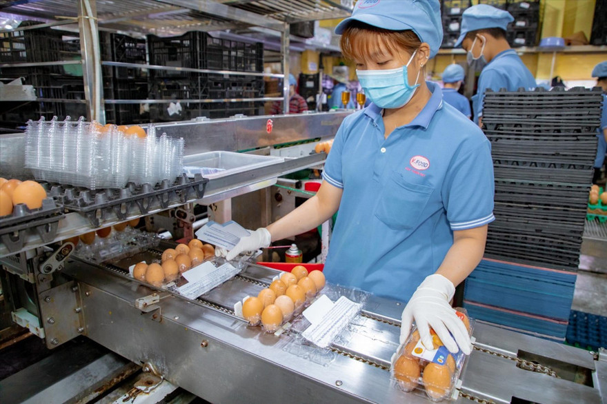 Công ty Vĩnh Thành Ðạt phân khu, chia nhỏ từng bộ phận sản xuất để phòng dịch hậu giãn cách. ẢNh: U.P