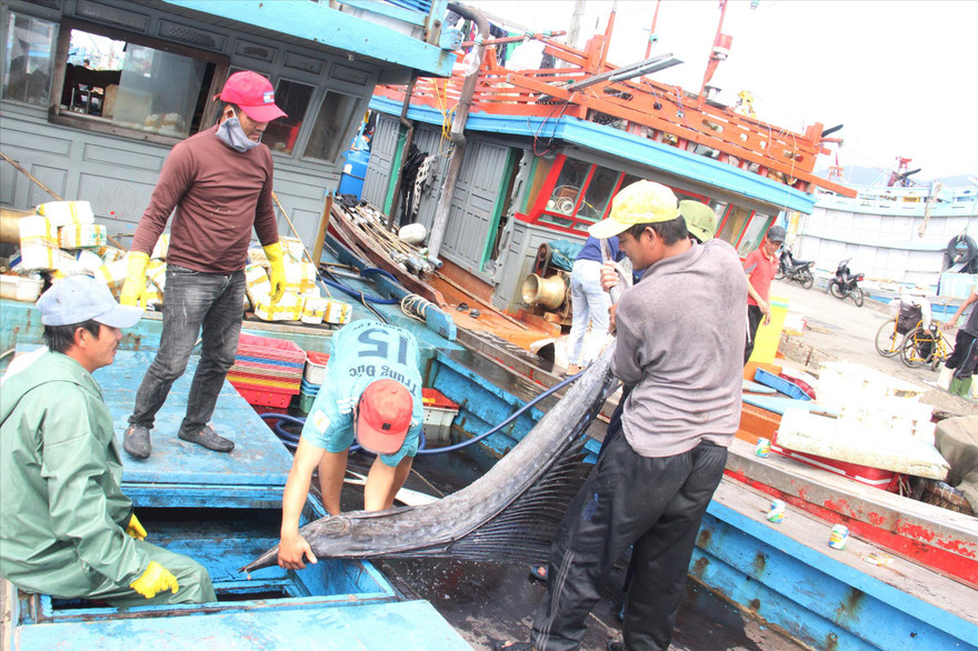 Xong chuyến biển này, mọi người sẽ về quê đón Tết cùng gia đình. Ảnh: T.T