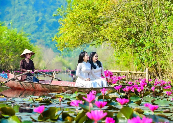 Mùa hoa súng ở suối Yến - chùa Hương. Ảnh: Dulichvietnam.com.vn