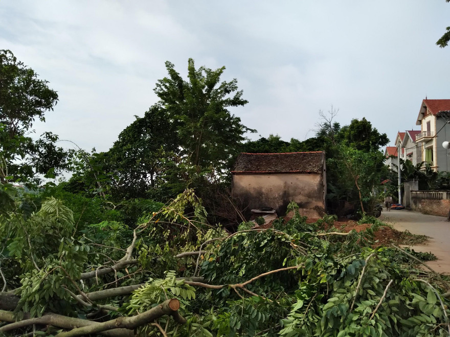 Căn nhà của bà Phan Thị Hải sắp bị giải toả triển khai dự án.