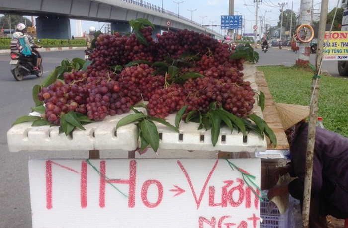 Nho vườn giá bèo bán nhiều tại TP HCM ở đâu ra?