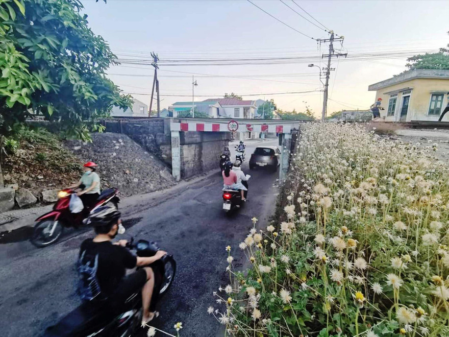 Cầu Lòn - cây cầu theo cách gọi của dân Huế vào thời điểm chưa được giải tỏa để mở rộng Ảnh tư liệu