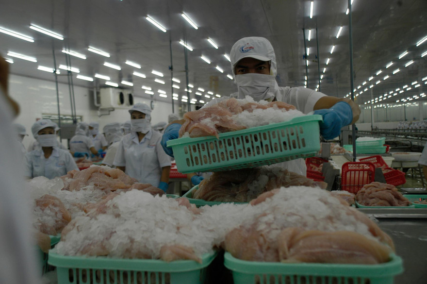 Nhiều doanh nghiệp muốn dừng mô hình 3 tại chỗ vì tốn kém chi phí trong khi hiệu quả chưa tương xứng Ảnh: Cảnh Kỳ