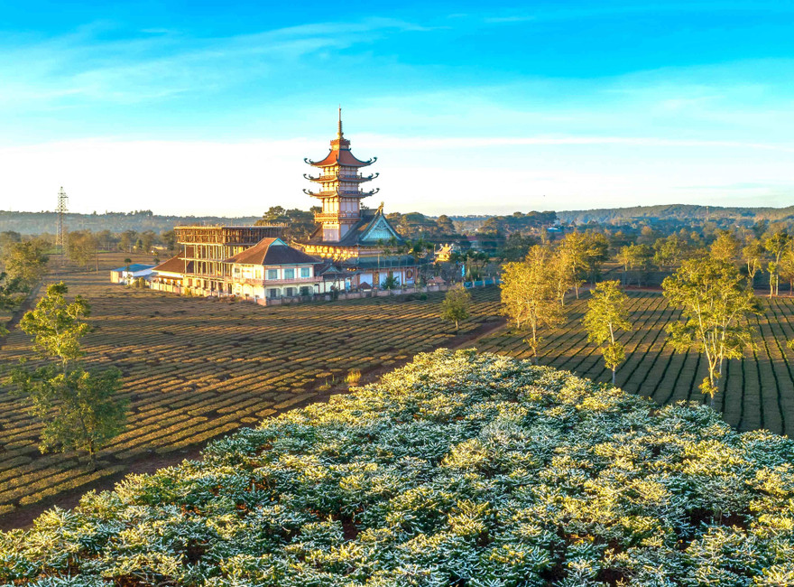 Chùa Bửu Minh từ trên cao Ảnh: Phan Nguyên