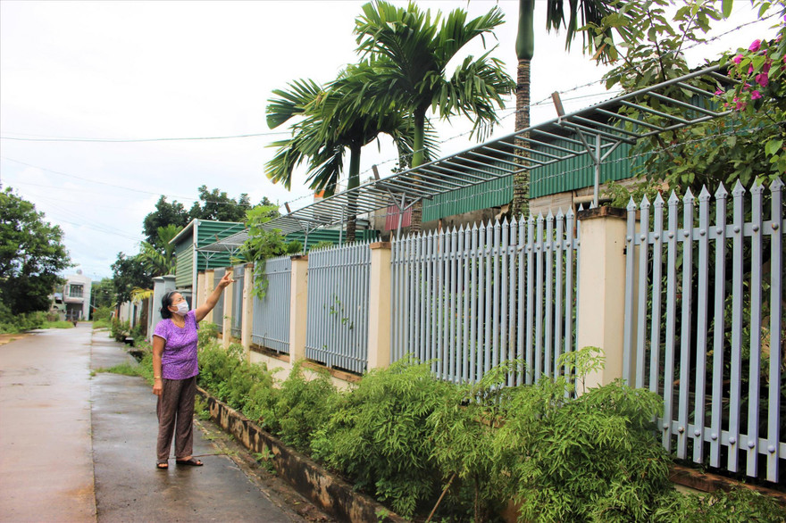 Bà Lê Thị Loan dùng thép gai rào hàng cau 