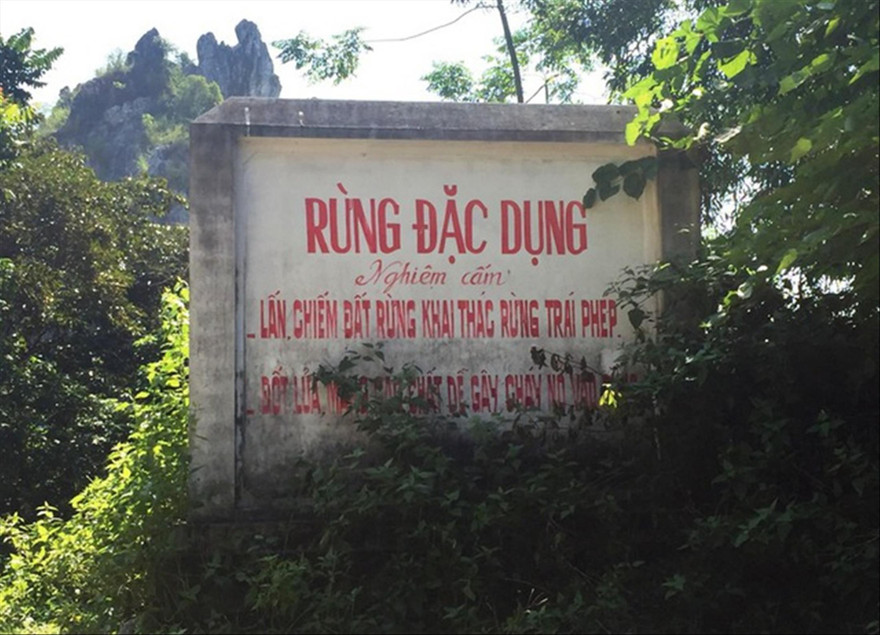 20,6 ha rừng đặc dụng bỗng dưng 'biến mất'? 