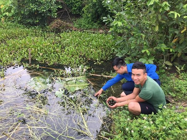 Anh Trương Duy Luých với mô hình nuôi ốc bươu thương phẩm cho hiệu quả cao 