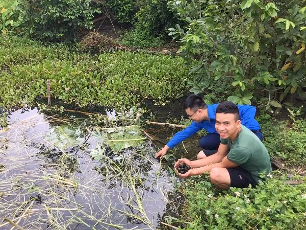 Anh Trương Duy Luých với mô hình nuôi ốc bươu thương phẩm cho hiệu quả cao 