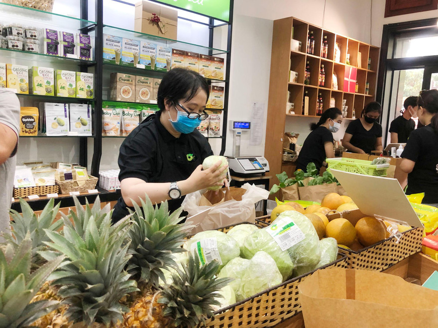 Ngày càng nhiều bạn trẻ tham gia lĩnh vực nông nghiệp hữu cơ