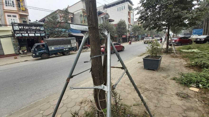 Hàng loạt cọc chống cây xanh trên tỉnh lộ 419 bị hư hỏng nặng nề