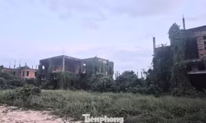Dự án nghìn tỷ 'đắp chiếu', siêu đô thị thành… vườn sắn 