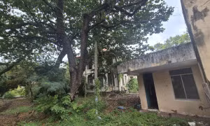 Cận cảnh hàng loạt trụ sở 'hoang phế' tại trung tâm Vũng Tàu