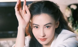 Lý do Trương Bá Chi giải nghệ