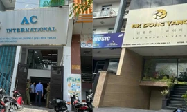 Nhân viên thú y giả bác sĩ ngoại 