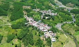 Lao Đu đã hết lao đao 