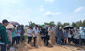 Nghe ông 'Tư lúa mùa' kể chuyện 