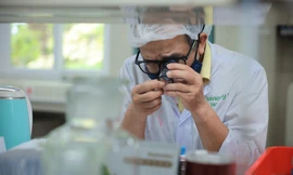 Các nhân tài KHCN sẽ được giao nhiệm vụ trực tiếp, tập trung vào lĩnh vực công nghệ cao, công nghệ chiến lược