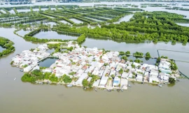 Có một ốc đảo giữa đầm 