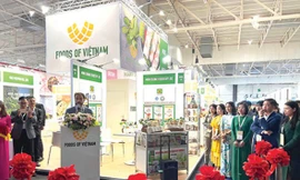 Hành trình đưa hương vị Việt vươn ra thế giới