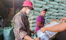 Nông sản được đóng bao, cân ký trước khi đưa vào kho đại lý