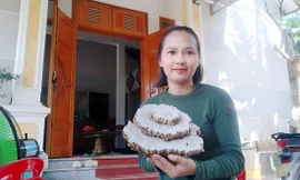 Tổ nhộng được đốt cháy, sau đó lấy từng con ra. Ảnh: Thanh Hiền