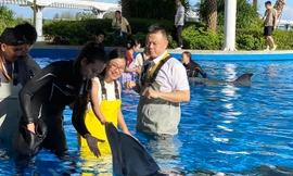 Nữ du khách Việt Nam (giữa) và ông Lưu Tiểu Âu (phải, hàng trước) chơi đùa cùng cá heoẢnh: Xuân Nguyễn 