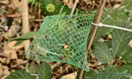 Thủ phủ sân Ngọc Linh Ảnh: Nguyễn Ngọc