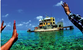 Những cái vẫy tay lưu luyến với đất liền