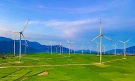 Một cánh đồng điện gió tại phía Nam tỉnh Khánh Hòa
