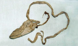 Mặt nạ pharaoh Ai Cập Tutankhamun 3.000 năm tuổi nằm trong số hơn 5.000 hiện vật được tìm thấy trong mộ vị vua trẻ chính là bao cao su của ông. Ảnh: Getty Images