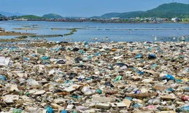 Ô nhiễm nhựa đại dương là vấn đề môi trường nghiêm trọng toàn cầu, trong đó có Việt Nam. Ảnh: Nguyễn Ngọc