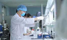 Sinh viên ÐH Quốc gia Hà Nội thực hành trong phòng thí nghiệm. Ảnh: Hoa Ban