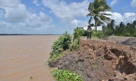 Phập phồng bên mép sông 