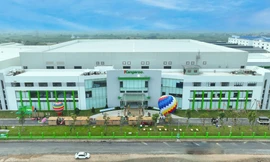 Kangaroo Việt Nam – Nhật Bản: Bước tiến mới trong hợp tác toàn cầu