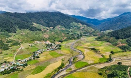 Sức sống mới ở làng Rừng Xà nu 