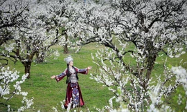 Dịp nghỉ Tết Dương lịch 2026: Du lịch sôi động