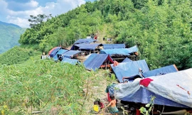 Lán trại của người dân thôn Kho Vàng tránh lũ dữ