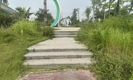 Vườn hoa cây xanh bị bỏ rơi? 