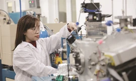 Nhà khoa học làm việc trong trường đại học