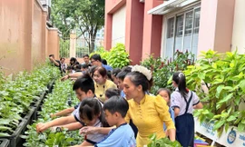 TPHCM: Hoa mắt với các khoản thu từ chương trình học liên kết