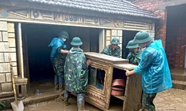 Gượng dậy sau lũ dữ 