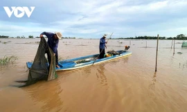 Mùa nước nổi về sớm (giữa tháng 8/2025), người dân đầu nguồn ĐBSCL đánh bắt tôm, cá…Ảnh: VOV 